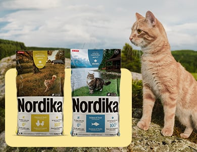 Nordika nouriture sèche pour chats