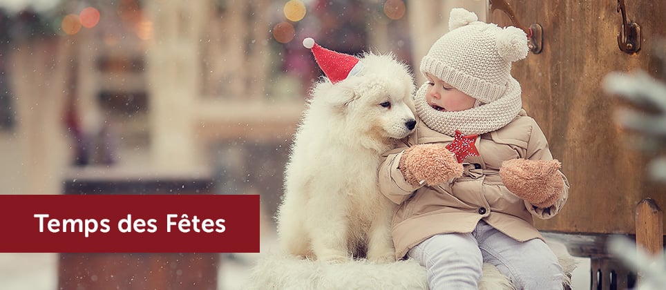 10 marchés de Noël à visiter avec votre chien au Québec en 2023