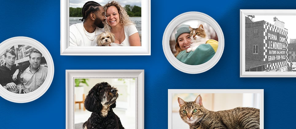 Mondou: In the picture since 1938