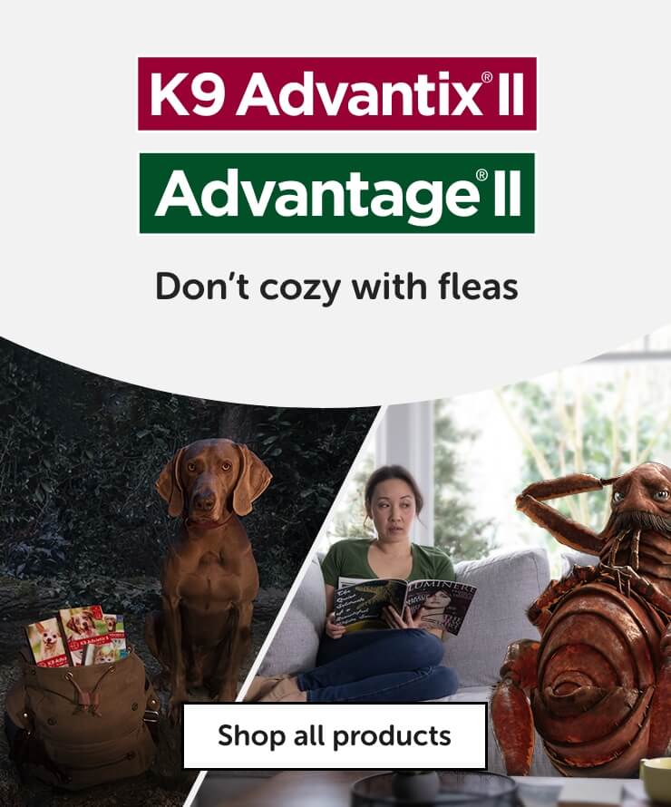 Les produits K9 Advantix® II et Advantage® II sont maintenant offerts en ligne et dans les magasins Mondou du Québec!