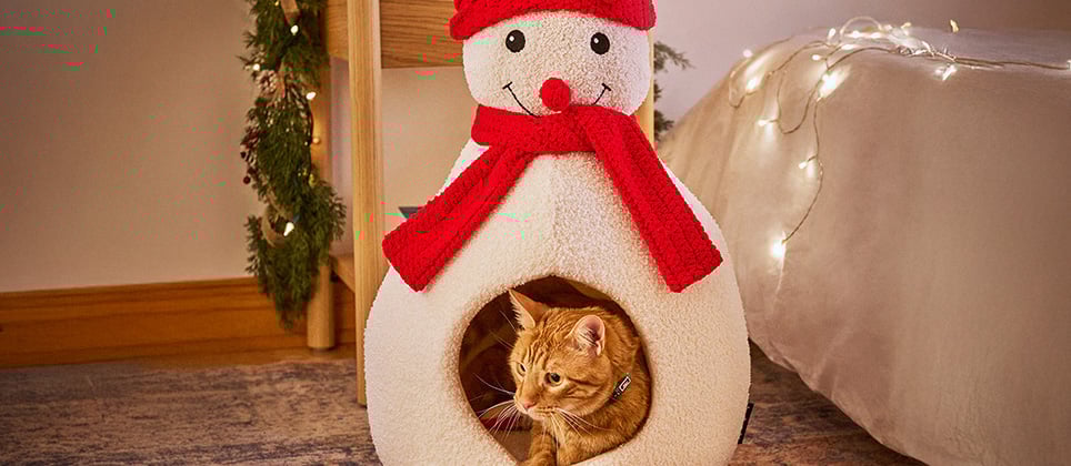 Les meilleures idées-cadeaux pour chats