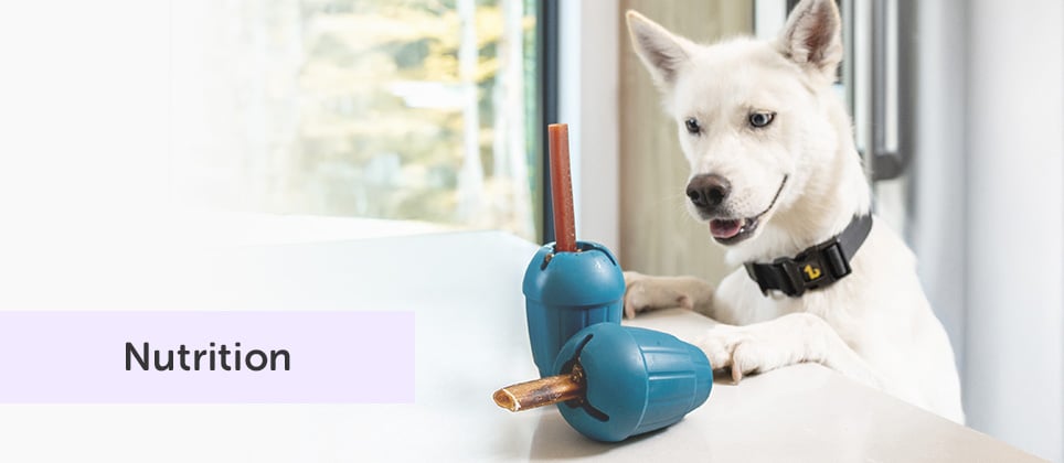 Mondou Recipes: OBEE! Stuff filled 2 ways for dogs