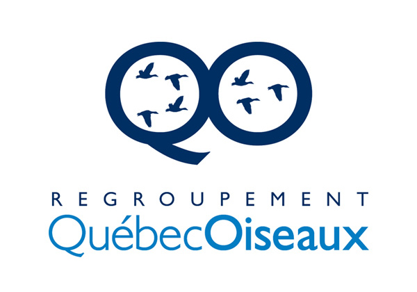 Québec Oiseaux
