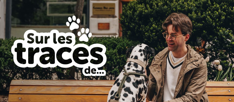 Urban day at Hôtel Gault with your dog