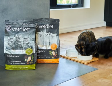 Vetdiet dry food for cats
