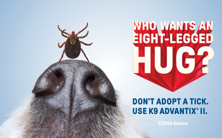 Who wants an eight-legged hug? Protect them and shop K9 Advantix II products for dogs. 