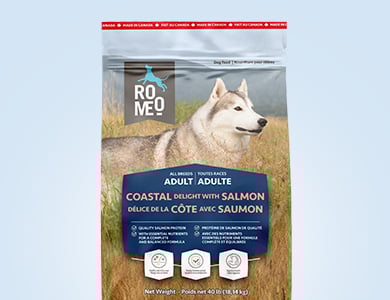 Coastal delight with salmon dry food for dogs Romeo