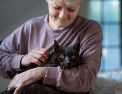 dame âgée qui tient un chat noir dans ses bras