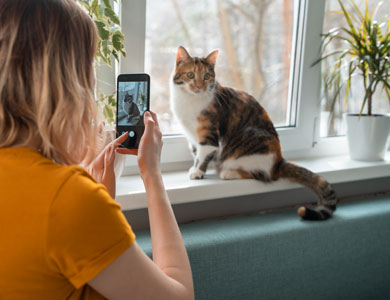 a woman taking a photo of a cat in front of a window