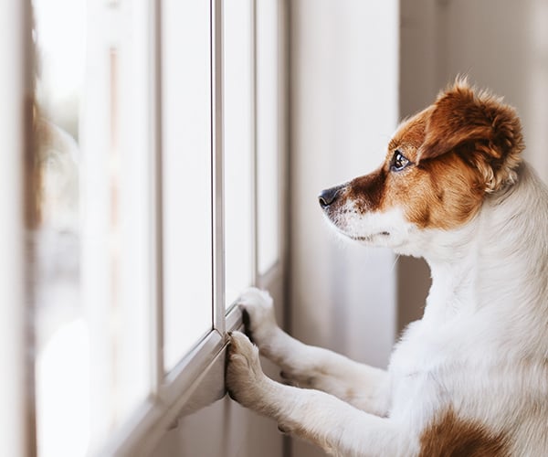 404 background image