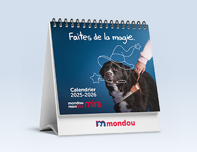 Mondou Mondon pour les refuges chats