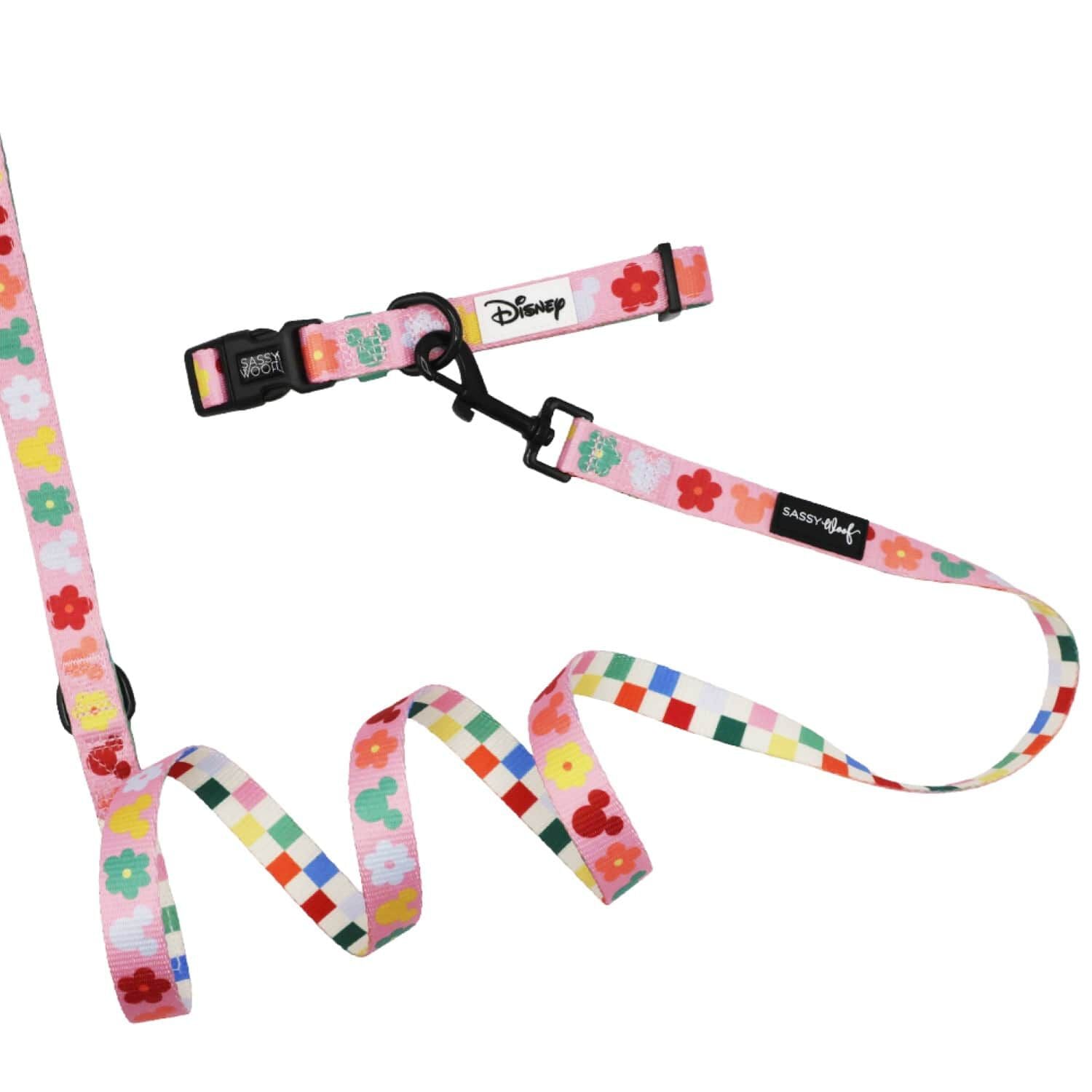 Ensemble de promenade Disney's Rainbow Frenzy pour chiens Sassy Woof