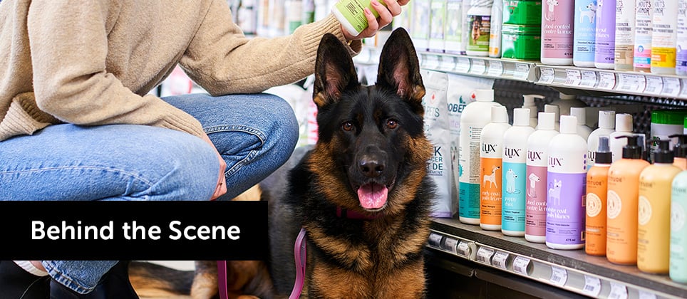 Mondou stands out in the WOW Study 2026