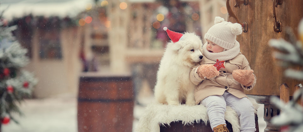 10 dog-friendly Christmas markets to visit in 2023