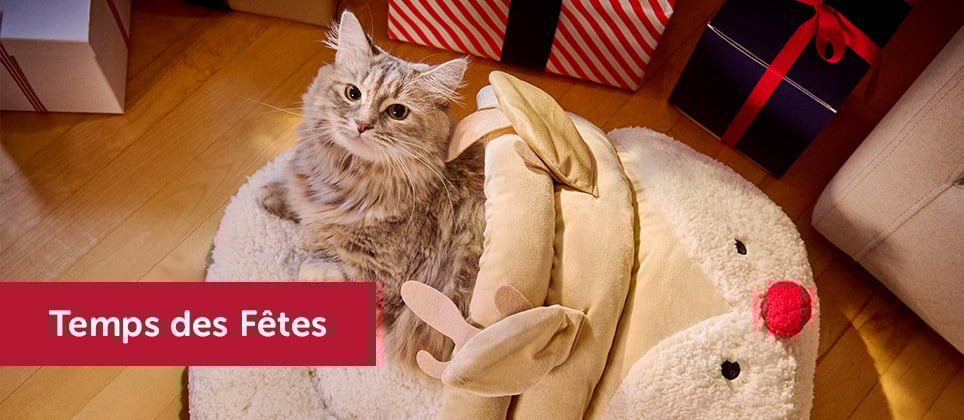 10 meilleures idées-cadeaux pour chats en exclusivité chez Mondou