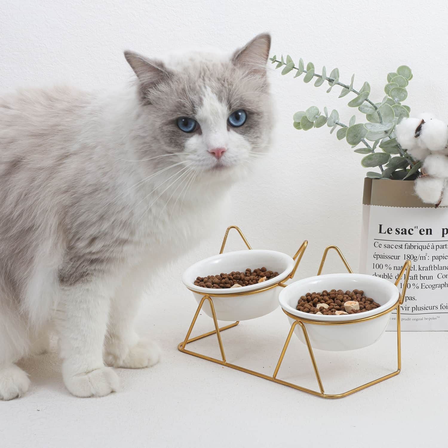 Double gamelle en céramique pour chats Brigade