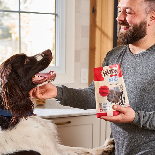 Biscuits Hudson en exclusivité chez Mondou