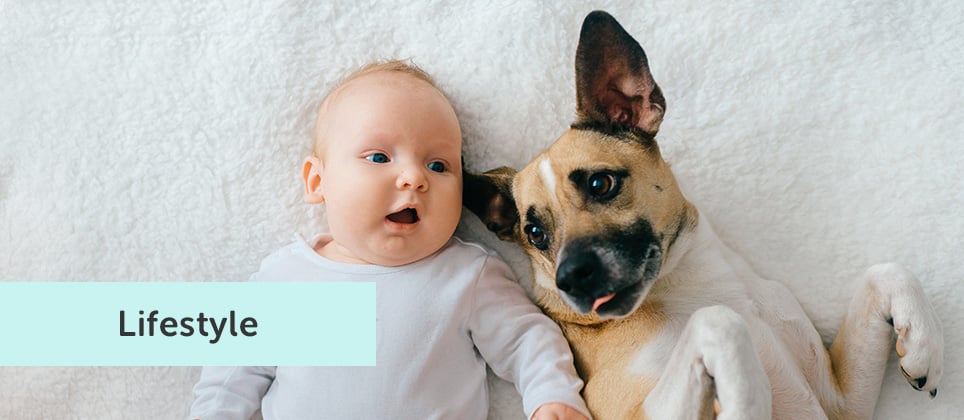 Here's how to prep your dog for the arrival of a baby