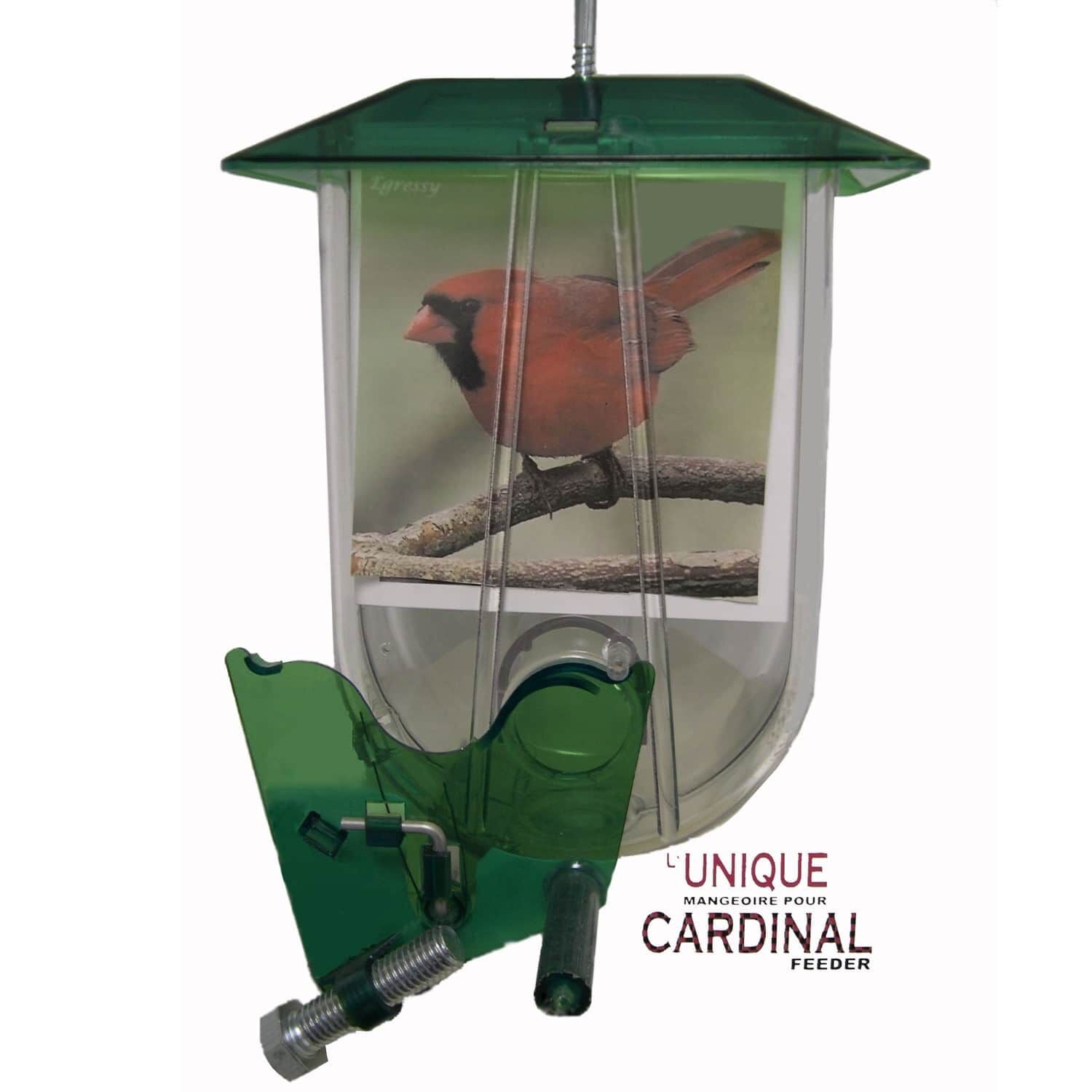 Unique mangeoire pour cardinal CCFA