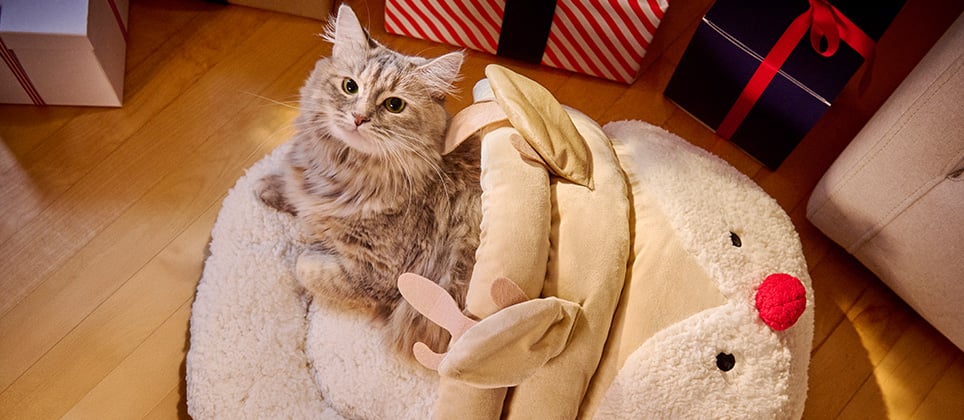10 meilleures idées-cadeaux pour chats en exclusivité chez Mondou