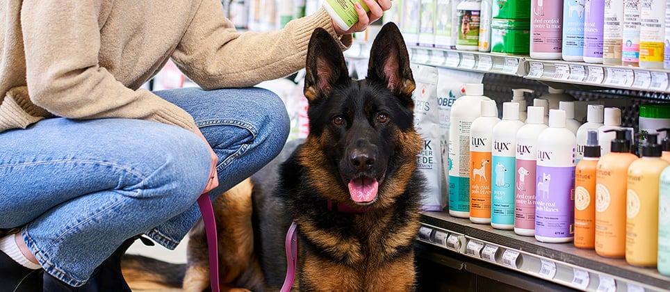 Mondou se distingue dans l&rsquo;&Eacute;tude WOW 2026