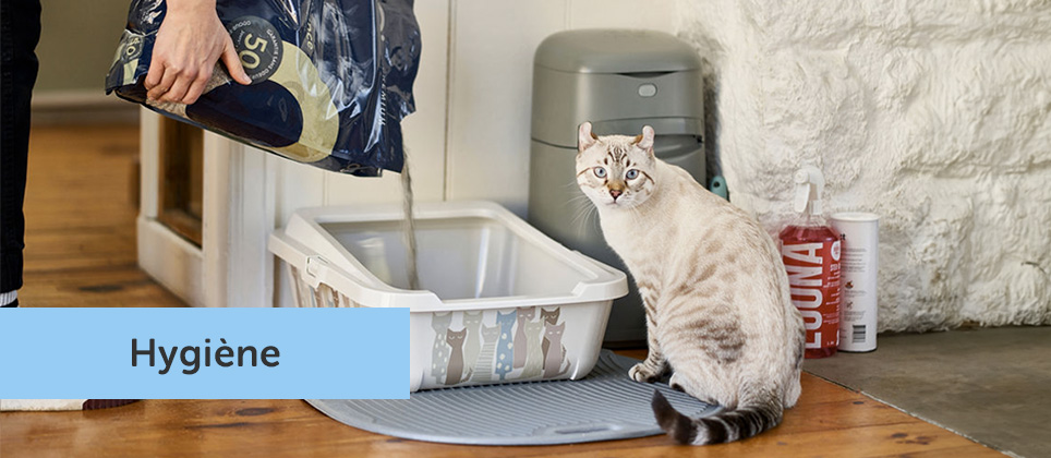 Comment choisir le bon bac à litière pour votre chat?