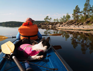 canoe in a lake with a dog lying in the middle and a person sitting at the end holding a paddle 