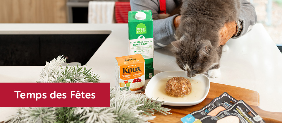 Les Recettes Mondou : Aspic festif au thon pour chats