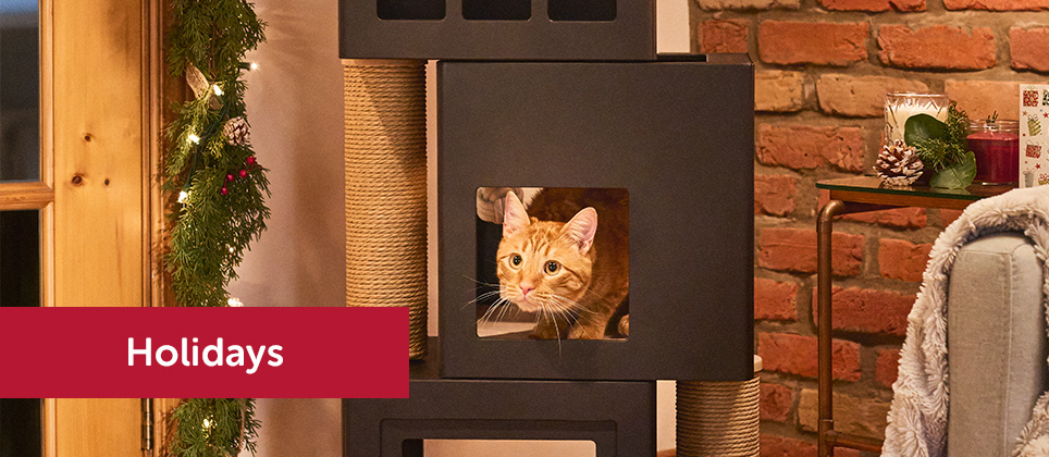 Top 5 best cat trees