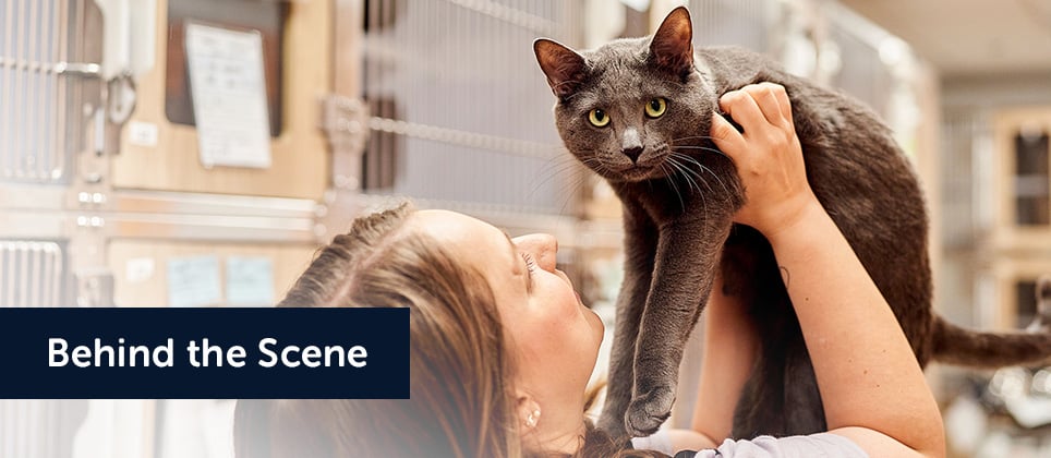 Mondou Mondon for the shelters: an 8th edition beyond expectations