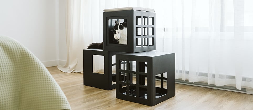 Top 5 des meilleurs arbres &agrave; chat