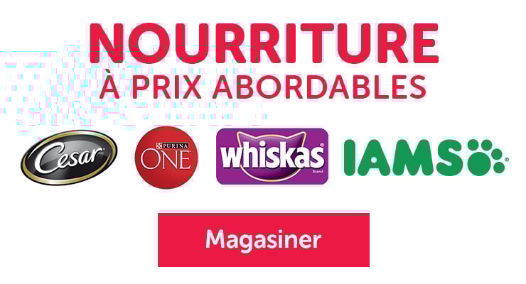 Nourriture à prix abordable