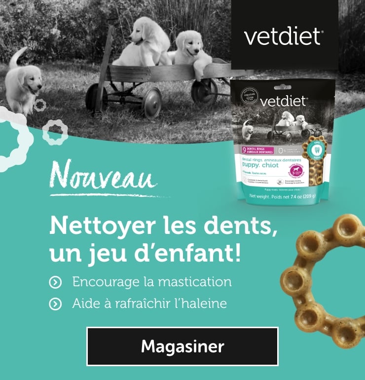Découvrez les nouveaux anneaux dentaires Vetdiet