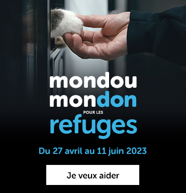 Mondou Mondon pour les refuges est de retour,  du 27 avril au 11 juin 2023, donnez pour offrir une deuxième chance aux animaux