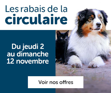 Circulaire du 2 au 12 novembre 2023.