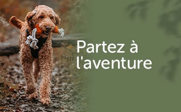 Partez è l'aventure