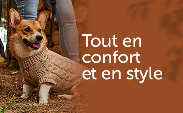 Retour en douceur du Confort