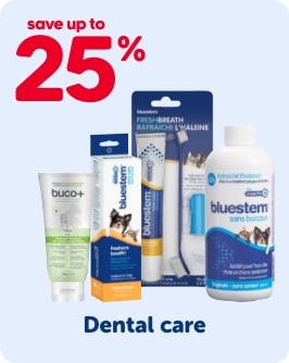 Save up to 25% - Dental care
