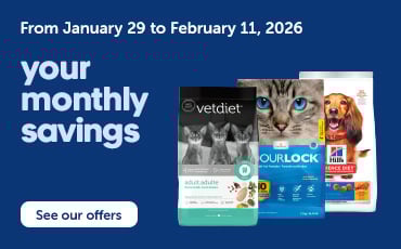 Your monthly savings Mondou flyer from January 29 to February 11, 2026.