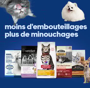 Promotion commande récurrente. Moins d'embouteillage. Plus de minouchages.
