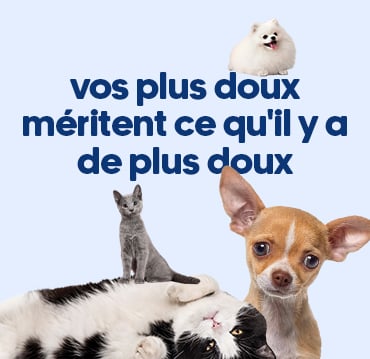Vos plus doux méritent ce qu'il y a de plus doux.