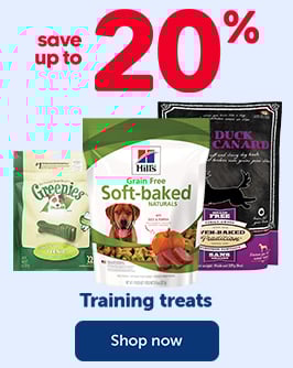 SAVE UP TO 20% - Treats