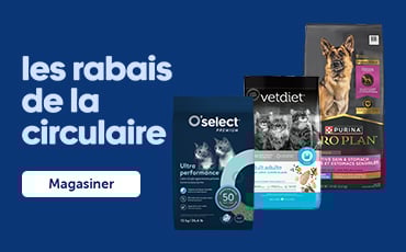 Les rabais de la circulaire Mondou du 26 février au 11 mars 2026 Magasiner maintenant.
