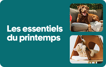 Essentiels du printemps pour chiens et chats chez Mondou, avec accessoires, jouets et produits saisonniers pour animaux de compagnie