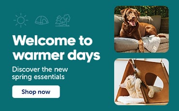 Spring essentials for dogs and cats at Mondou, featuring seasonal pet accessories, toys, and must‑have products for pets