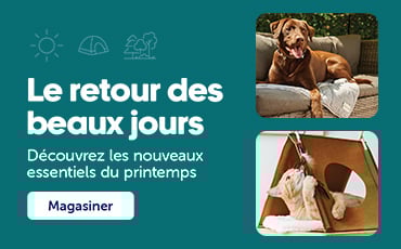 Essentiels du printemps pour chiens et chats chez Mondou, avec accessoires, jouets et produits saisonniers pour animaux de compagnie