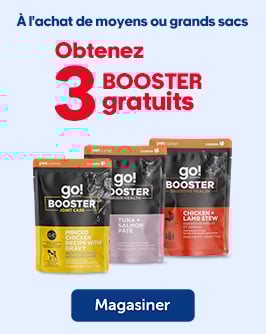 Nourriture sèche pour chats ou chiens Moyens et grands sacs