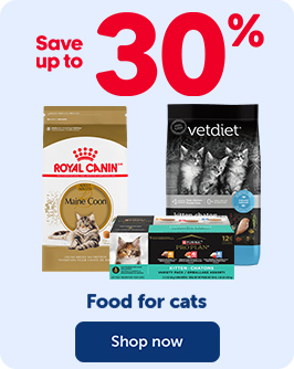 SAVE UP TO 30% - Food for cats