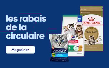 Les rabais de la circulaire Mondou du 2 au 15 avril 2026. Magasiner maintenant.