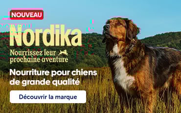 Bannière Nordika présentant de la nouvelle nourriture pour chiens haut de gamme avec un chien en nature.